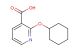2-(cyclohexyloxy)pyridine-3-carboxylic acid