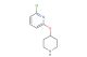 2-chloro-6-(piperidin-4-yloxy)pyridine