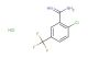 2-chloro-5-(trifluoromethyl)benzene-1-carboximidamide hydrochloride