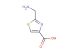 2-(aminomethyl)-1,3-thiazole-4-carboxylic acid