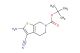 tert-butyl 2-amino-3-cyano-4,7-dihydrothieno[2,3-c]pyridine-6(5H)-carboxylate