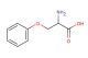 2-amino-3-phenoxypropanoic acid