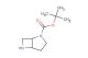 tert-butyl 2,6-diazabicyclo[3.2.0]heptane-2-carboxylate