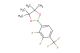 2-[2,3-difluoro-4-(trifluoromethyl)phenyl]-4,4,5,5-tetramethyl-1,3,2-dioxaborolane