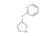 2-(pyrrolidin-3-yloxy)pyridine