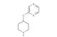 2-(piperidin-4-yloxy)pyrazine