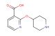 2-(piperidin-4-yloxy)pyridine-3-carboxylic acid