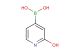 (2-hydroxypyridin-4-yl)boronic acid