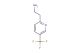 2-[5-(trifluoromethyl)pyridin-2-yl]ethan-1-amine