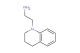 2-(1,2,3,4-tetrahydroquinolin-1-yl)ethan-1-amine