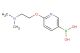 2-(2-dimethylamino-ethoxy)-pyridine-5-boronic acid