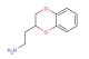 2-(2,3-dihydro-1,4-benzodioxin-2-yl)ethan-1-amine