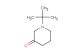 1-tert-butylpiperidin-3-one