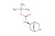 tert-butyl N-[(1R,4R,5R)-2-azabicyclo[2.2.1]heptan-5-yl]carbamate
