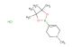 1-methyl-4-(4,4,5,5-tetramethyl-1,3,2-dioxaborolan-2-yl)-1,2,3,6-tetrahydropyridine hydrochloride