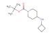 tert-butyl 4-(cyclobutylamino)piperidine-1-carboxylate