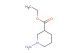 ethyl 1-aminopiperidine-3-carboxylate