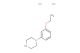1-(3-ethoxyphenyl)piperazine dihydrochloride