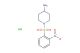 1-(2-nitrobenzenesulfonyl)piperidin-4-amine hydrochloride