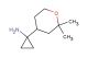 1-(2,2-dimethyloxan-4-yl)cyclopropan-1-amine