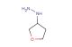 (oxolan-3-yl)hydrazine