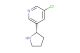 3-chloro-5-[(2S)-pyrrolidin-2-yl]pyridine