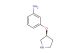 3-[(3S)-pyrrolidin-3-yloxy]aniline
