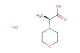 (2S)-2-(morpholin-4-yl)propanoic acid hydrochloride