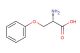 (2S)-2-amino-3-phenoxypropanoic acid
