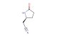 2-[(2S)-5-oxopyrrolidin-2-yl]acetonitrile