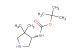 tert-butyl N-[(3S)-4,4-dimethylpyrrolidin-3-yl]carbamate