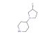 (R)-4-(3-fluoro-pyrrolidin-1-yl)-piperidine
