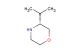 (R)-3-Isopropyl-morpholine