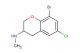 8-bromo-6-chloro-N-methyl-3,4-dihydro-2H-1-benzopyran-3-amine