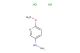 5-hydrazinyl-2-methoxypyridine dihydrochloride
