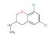 6,8-dichloro-N-methyl-3,4-dihydro-2H-1-benzopyran-3-amine