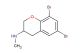 6,8-dibromo-N-methyl-3,4-dihydro-2H-1-benzopyran-3-amine