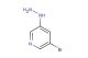 3-bromo-5-hydrazinylpyridine