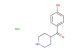 4-(piperidine-4-carbonyl)phenol hydrochloride