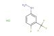 [4-fluoro-3-(trifluoromethyl)phenyl]hydrazine hydrochloride