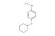 [4-(cyclohexyloxy)phenyl]hydrazine