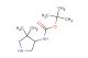 tert-butyl N-(4,4-dimethylpyrrolidin-3-yl)carbamate