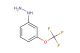 [3-(trifluoromethoxy)phenyl]hydrazine
