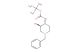 tert-butyl N-[(3R,4R)-1-benzyl-3-hydroxypiperidin-4-yl]carbamate