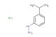 [3-(propan-2-yl)phenyl]hydrazine hydrochloride