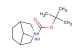 tert-butyl (3-azabicyclo[3.2.1]octan-8-yl)carbamate