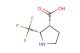 (2S,3R)-2-(trifluoromethyl)pyrrolidine-3-carboxylic acid