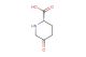 (2S)-5-oxopiperidine-2-carboxylic acid