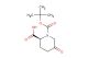 (2S)-1-[(tert-butoxy)carbonyl]-5-oxopiperidine-2-carboxylic acid