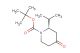 tert-butyl (2S)-4-oxo-2-(propan-2-yl)piperidine-1-carboxylate